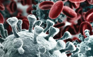 Coronavirus, il bollettino della Regione Calabria: nessun positivo in Calabria