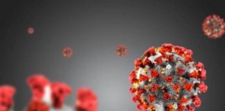 Coronavirus in Calabria, il bollettino della Regione