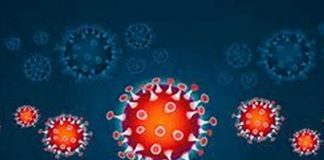 Coronavirus, il bollettino della Regione Calabria