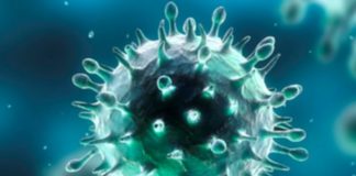 Coronavirus in Calabria, il bollettino della Regione