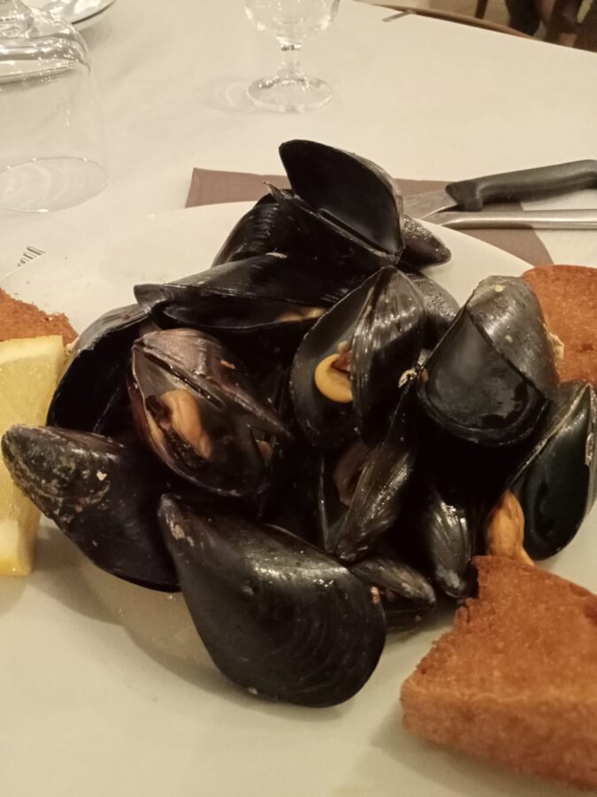 IMG-20230919-WA0011
