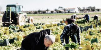 Cu faci ‘u cchiu’, poti fari ‘u menu
