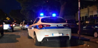 Lascia il cane per oltre un’ora nel bagagliaio dell’auto: multata