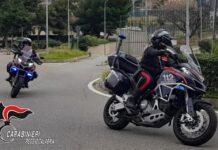Coltivava marijuana in casa: un giovane arrestato a Reggio