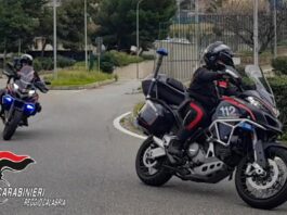 Coltivava marijuana in casa: un giovane arrestato a Reggio