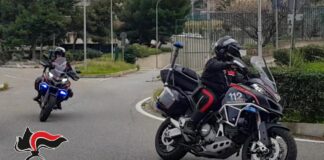 Coltivava marijuana in casa: un giovane arrestato a Reggio