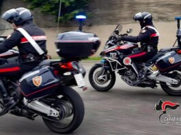 ARMA CLANDESTINA, DROGA E FAUNA PROTETTA: I CARABINIERI ARRESTANO UNA DONNA