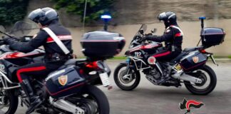 ARMA CLANDESTINA, DROGA E FAUNA PROTETTA: I CARABINIERI ARRESTANO UNA DONNA
