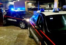 FUMO NERO DA UN’AREA RURALE: I CARABINIERI SCOPRONO UN ROGO DI RIFIUTI