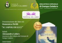 Festival del Libro di Campo Calabro: appuntamento con “Scampoli di luce” di Domenica Pirilli