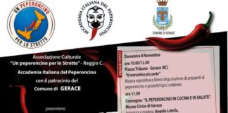 E’ partita la macchina organizzativa della “Tre giorni di fuoco”